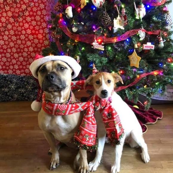 Meet your Posher, Debbie - Picture 1 of 2